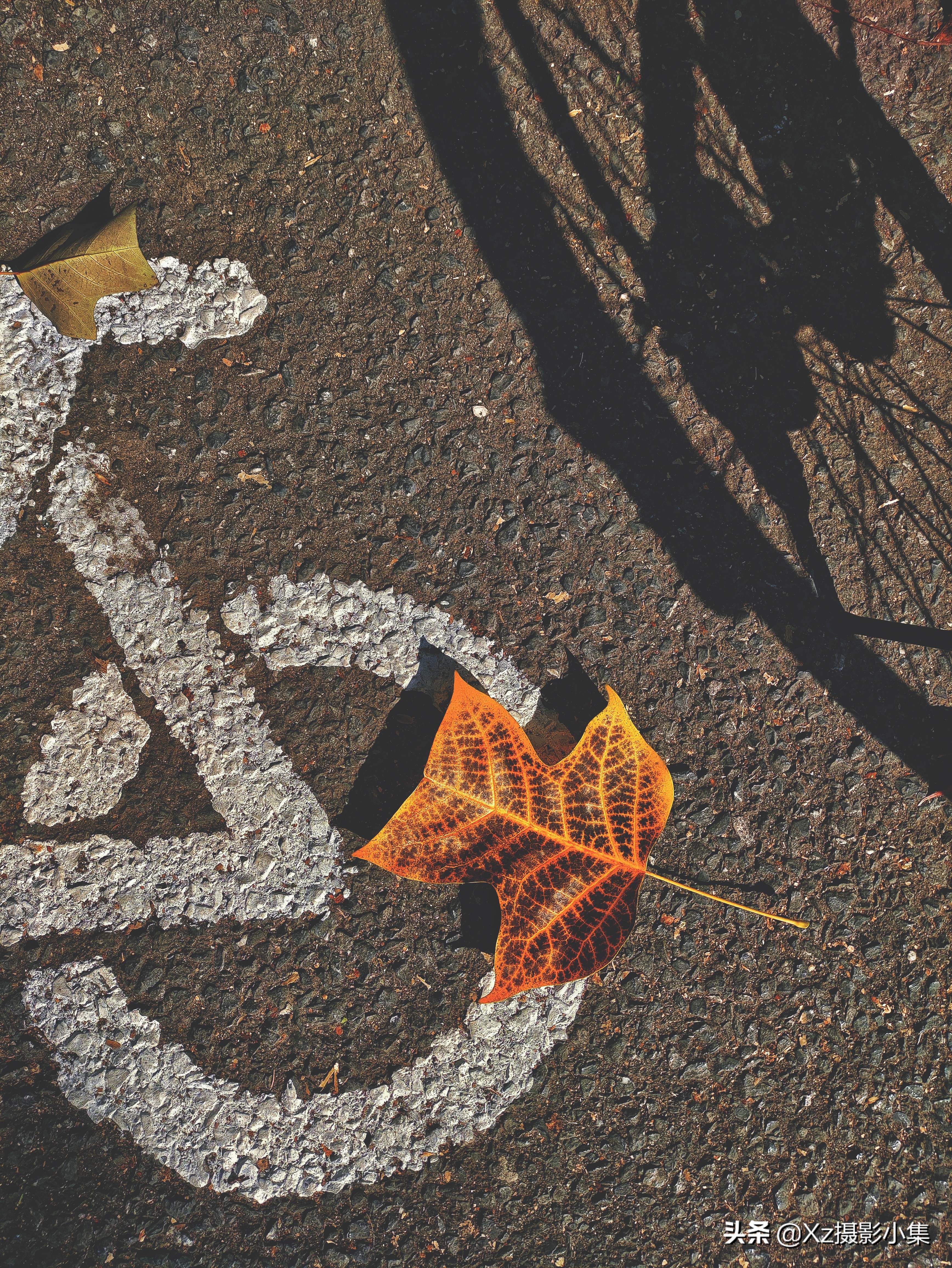 日常风景照片修图app,风景照片怎么用手机修图