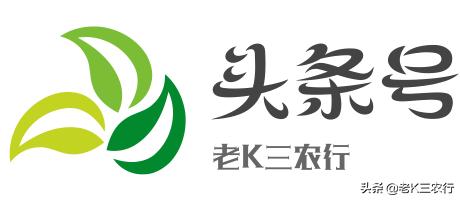 农村过“小年”的讲究，到底哪天是“小年”，南北各不相同