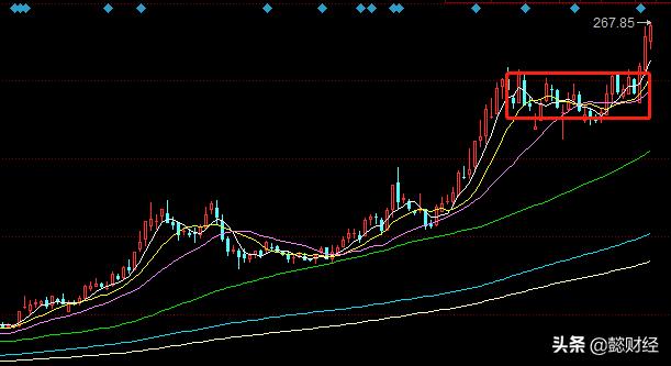 十大龙头潜力股,芯片龙头业绩大增的股票