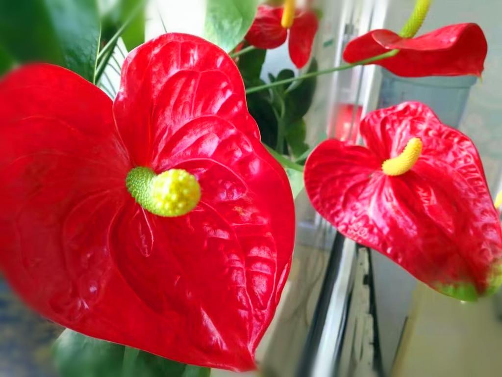 做好5件事快速改变人生,做好这5件事