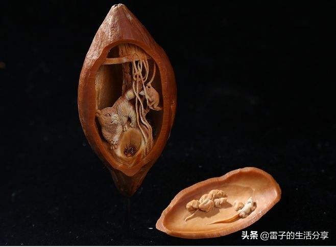 菩提子配饰翡翠,菩提子蜜蜡配饰图