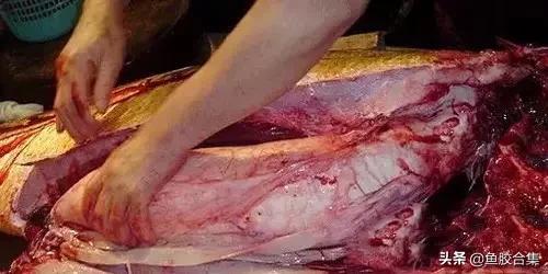 花胶一共有几种类型的品种,花胶种类中哪种最好