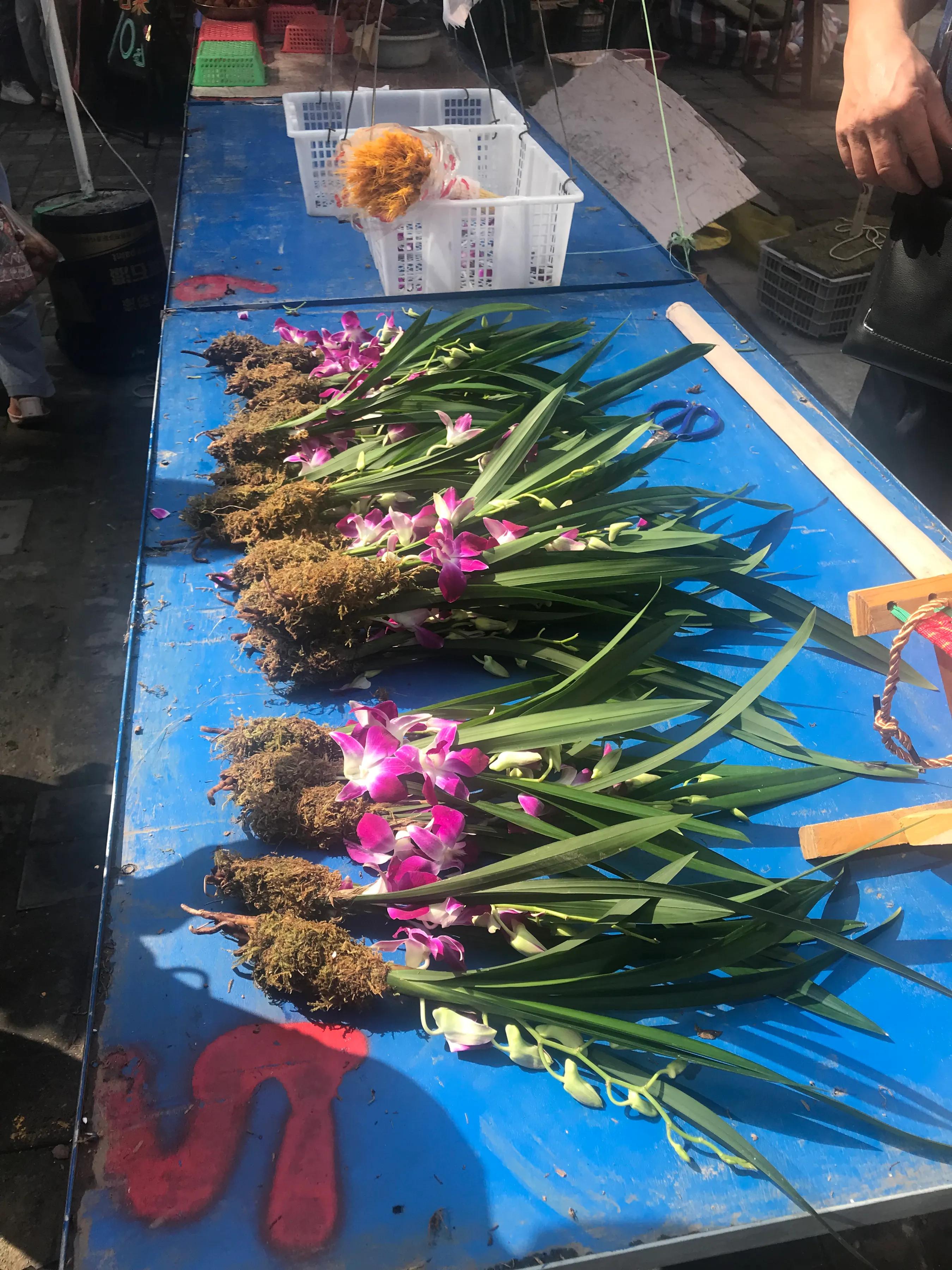 水木清华早市,水木清华附近的早市