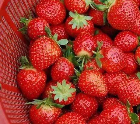 连云港父子,江苏省连云港父子俩