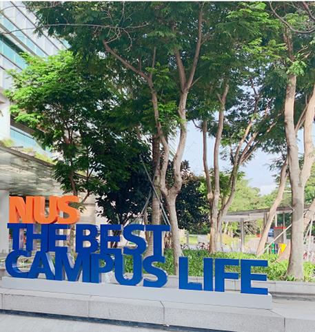 新加坡投资2亿新币,投资新加坡学校