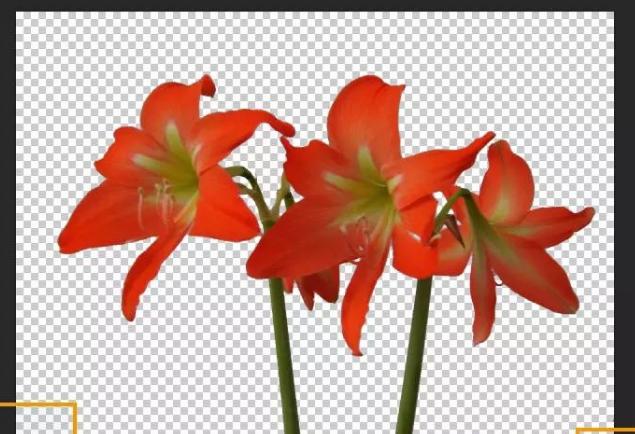 怎么抠图教你几种好用的抠图方法,如何抠图推荐三种常用抠图方法