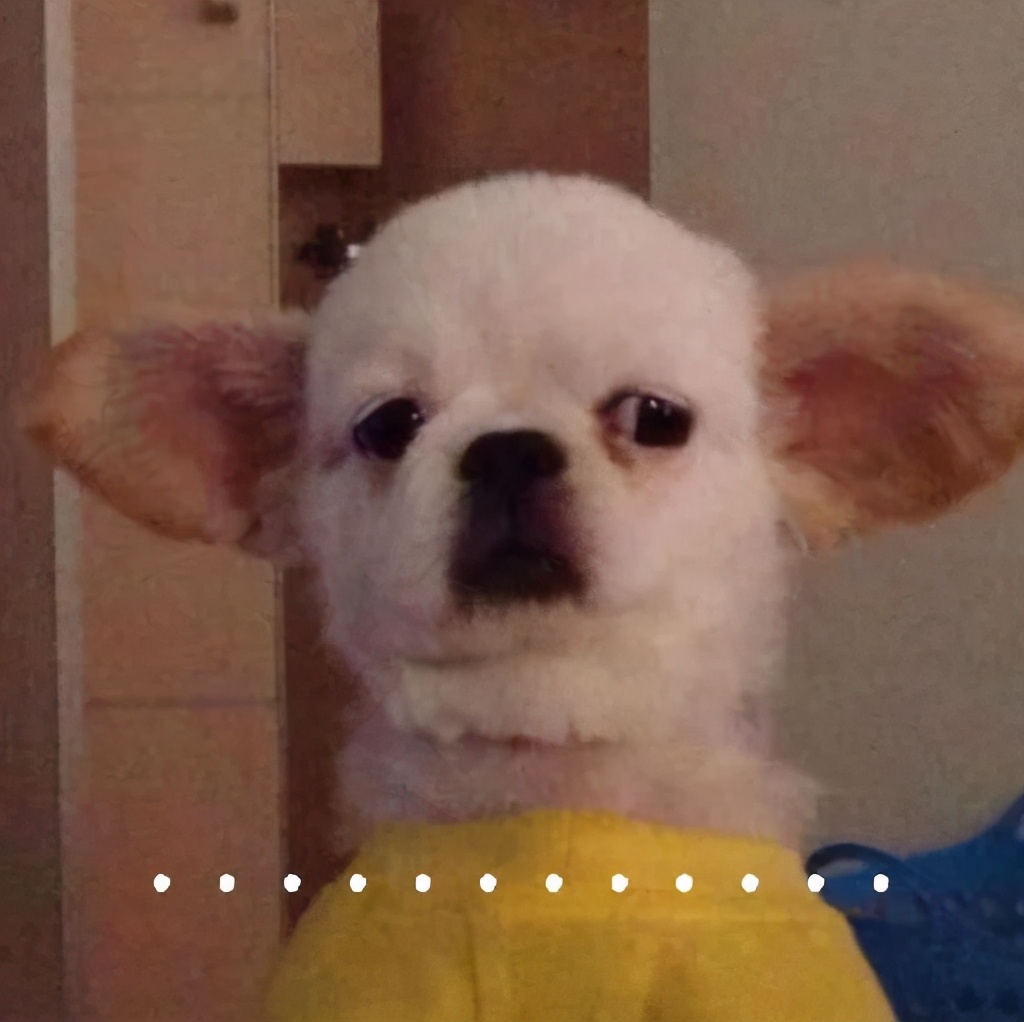 女朋友的胸，为什么忽大忽小？