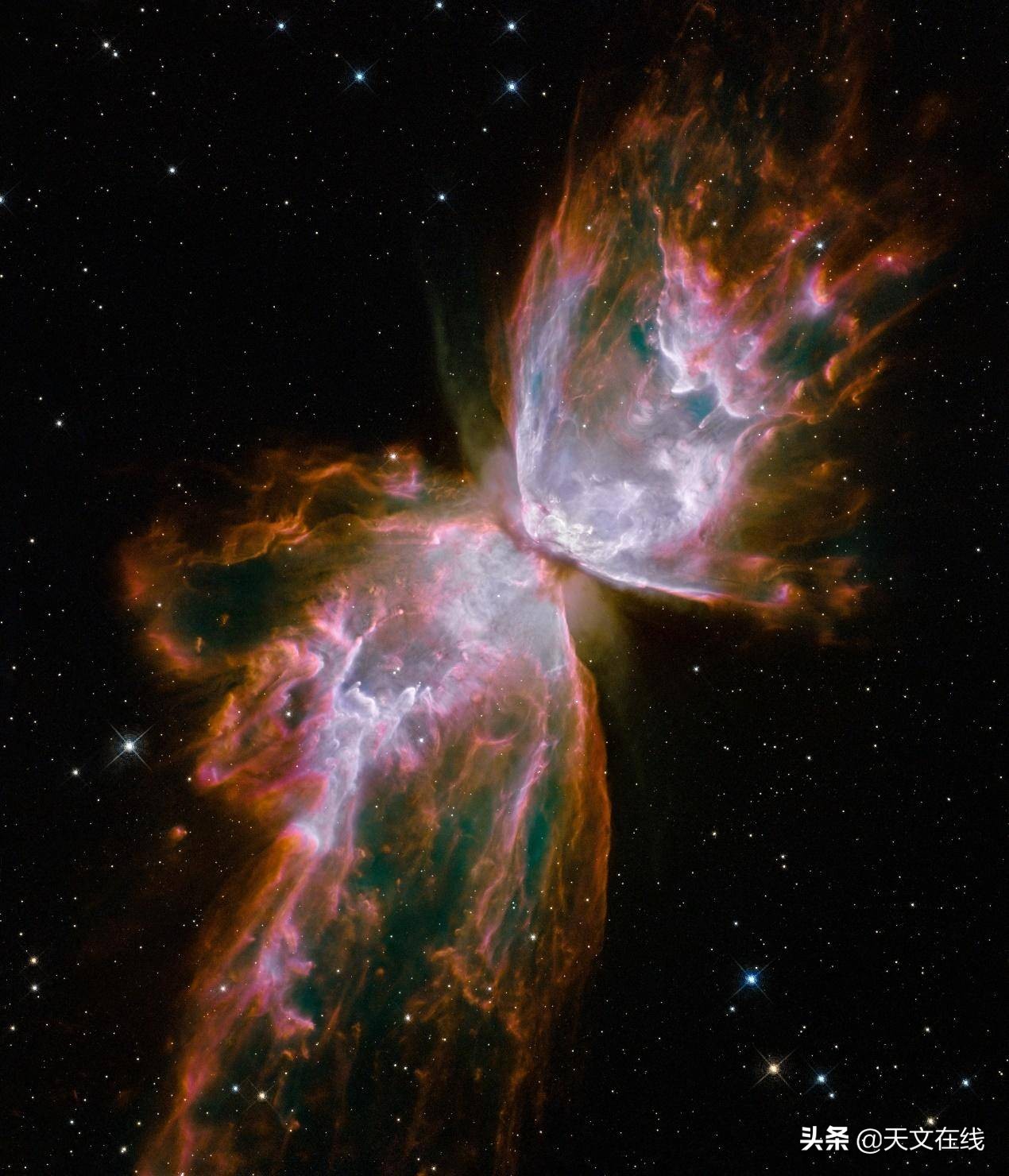 这是宇宙中最壮丽的景色，现在我们就来了解它——超新星