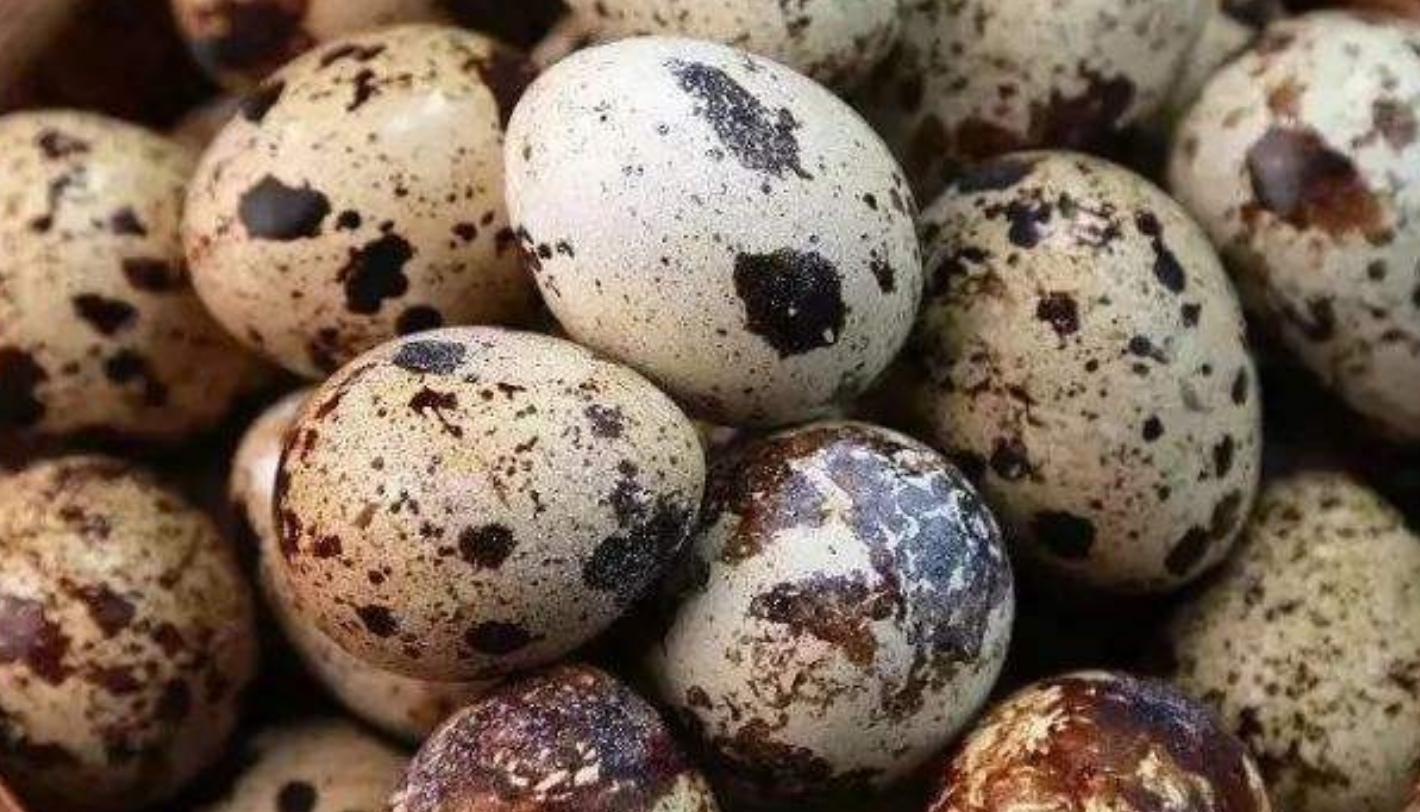 鹌鹑蛋不要剥壳怎样做成菜好吃,鹌鹑蛋不放油怎么做好吃