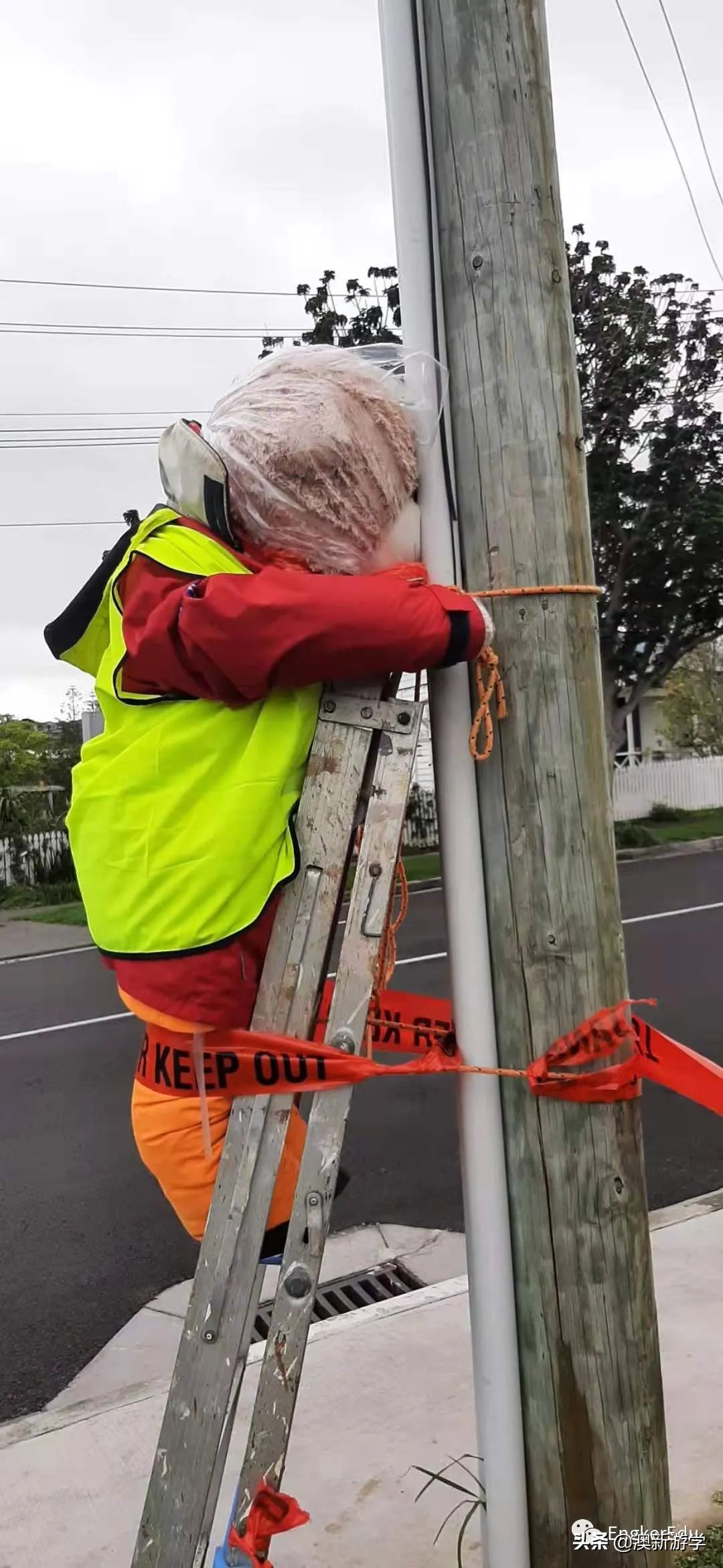 封城期间，玩偶一家的生活大揭秘