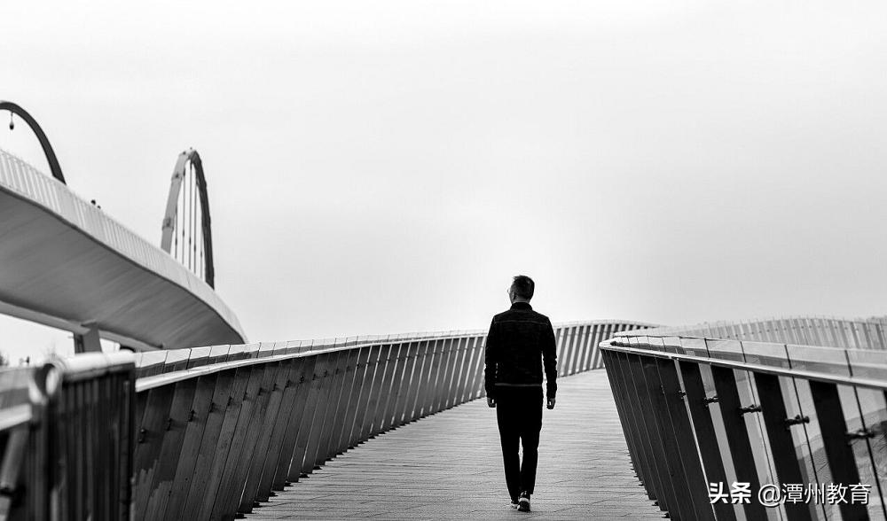 栉风沐雨铸辉煌,栉风沐雨历十载砥砺奋进谱新篇
