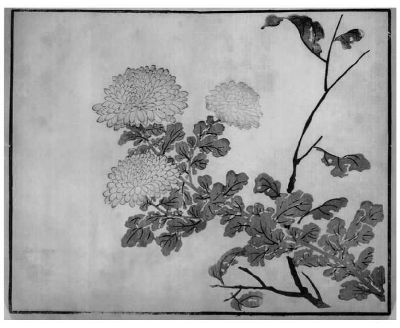 国画菊花的简单画法步骤图片,国画入门零基础自学画菊花