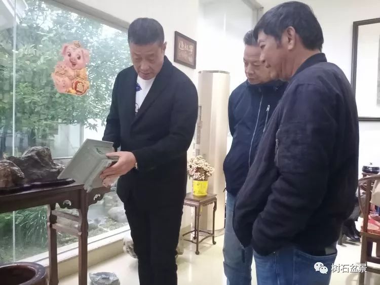 伟大使命复兴中国盆景艺术事业——2019中盆会大事回顾(下篇)