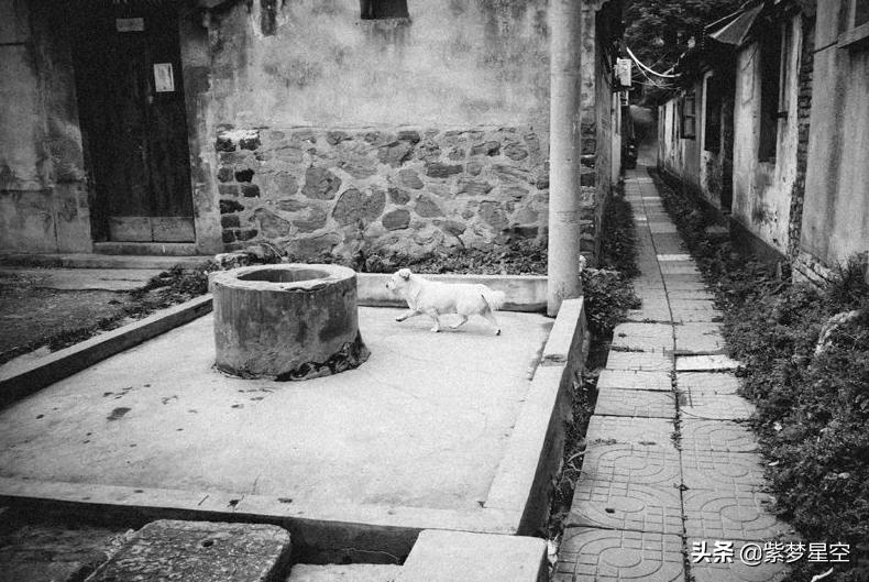 璁板繂纰庣墖浜屽彅浜屽┒,璁板繂鐨勭鐗囦簩鍝ュ畬鏁寸増