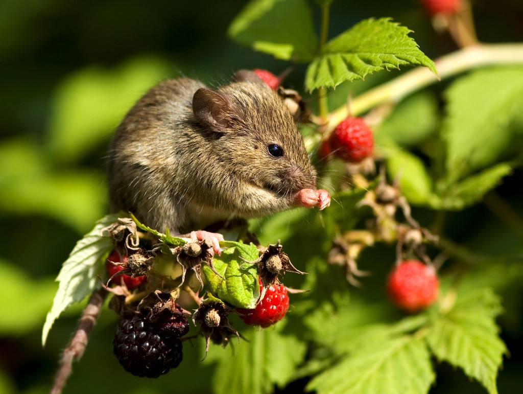 央美教授素描画,央美教授的画像