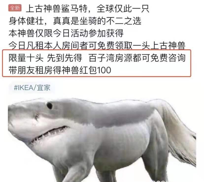 闲鱼被人耍了怎么办,闲鱼东西被买家弄坏