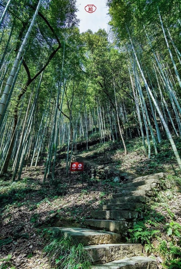 桐庐夜游富春山居景区,桐庐富春江夜游和白天游
