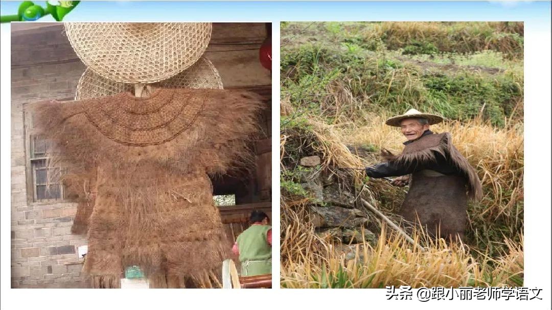 部编版二年级上册语文园地五习题,部编版语文二年级上语文园地五