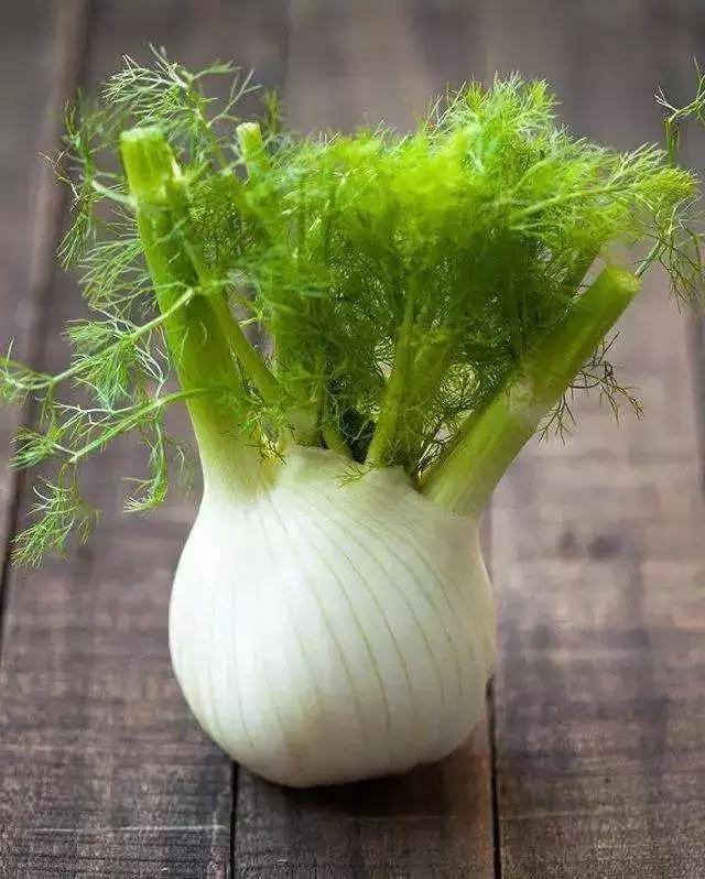 新鲜茴香的功效,如何保存新鲜茴香