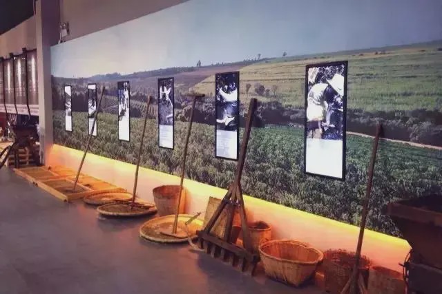 南京可口可乐、广西米粉博物馆...人类还有什么想不到的?