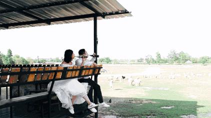 中年之殇,中年人之殇