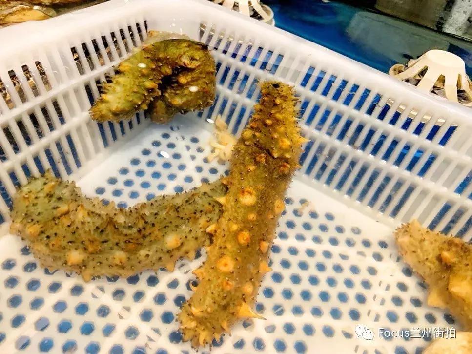 兰州好吃又实惠的海鲜,兰州值得推荐海鲜店