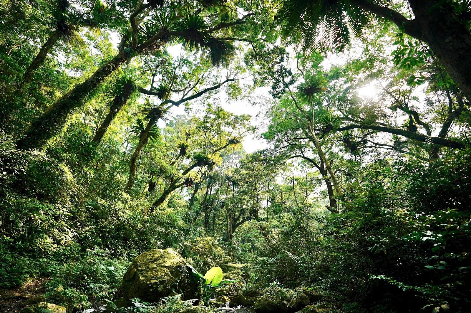 溯溪鞋能当攀岩鞋吗,科恩溯溪鞋好穿吗