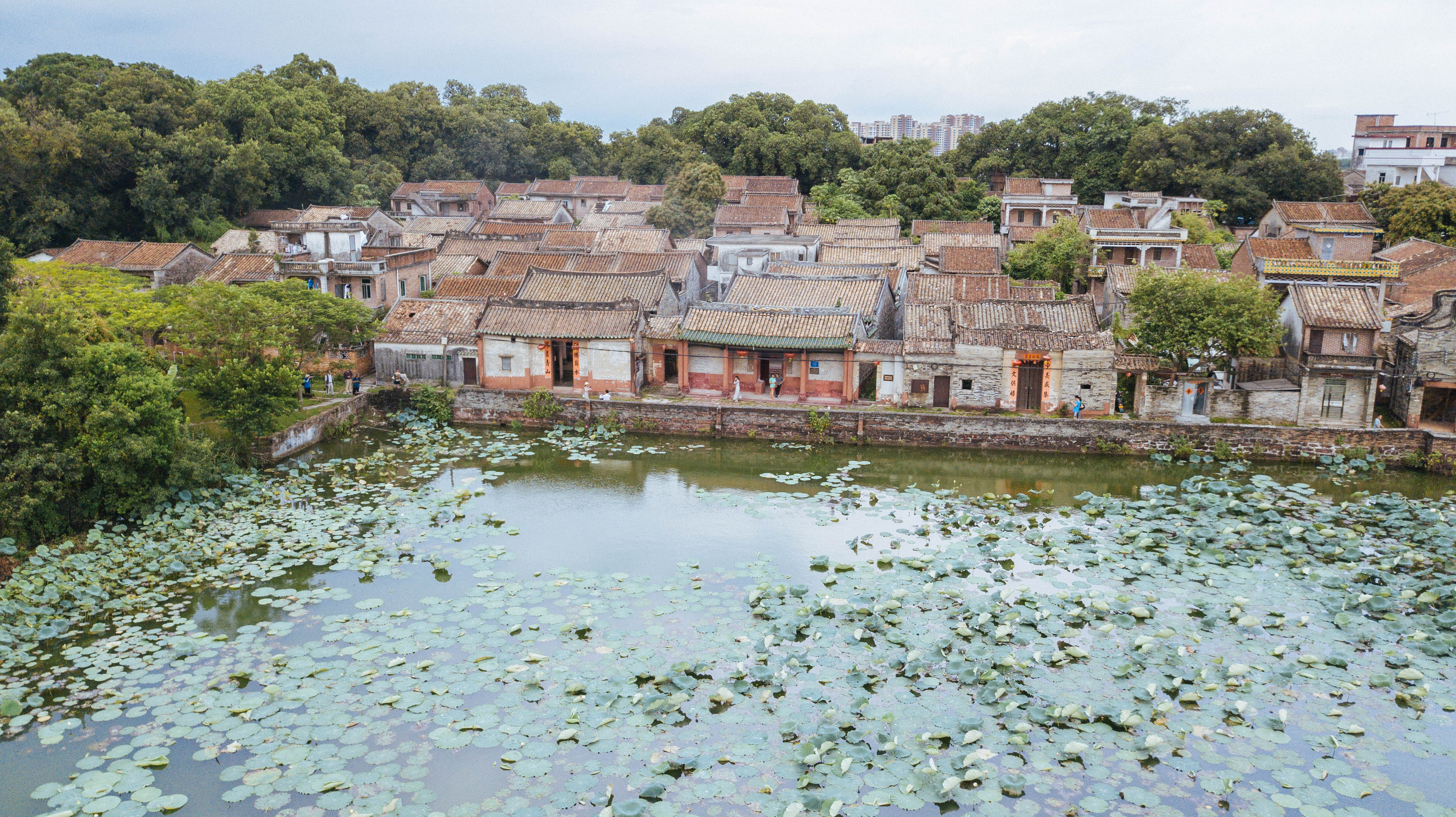 樟木头有什么好的酒店,樟木头哪间酒店环境好
