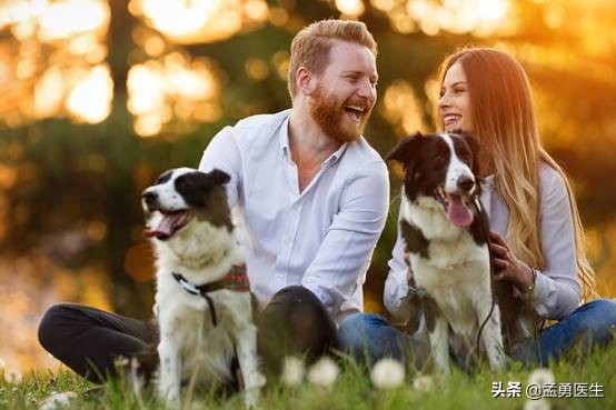 酗酒对免疫系统的损坏,酗酒对自己和他人的危害