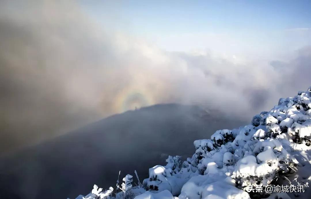 重庆无症状感染者最新情况,重庆无症状感染者在哪个区