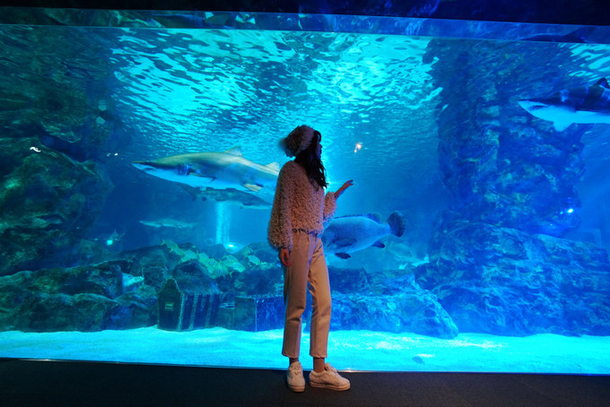 新手怎么逛免税店攻略,50家免税店最划算攻略在此