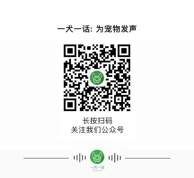 猫砂垃圾分类怎么处理,垃圾分类猫砂属于哪类