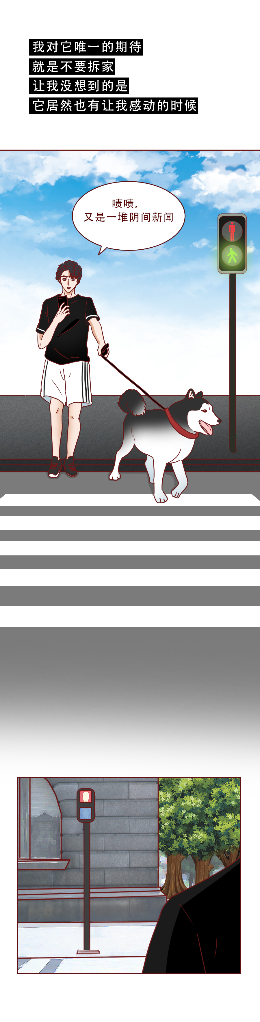 捡了一只猫好像抑郁了怎么办,一只抑郁症猫咪被救赎的故事