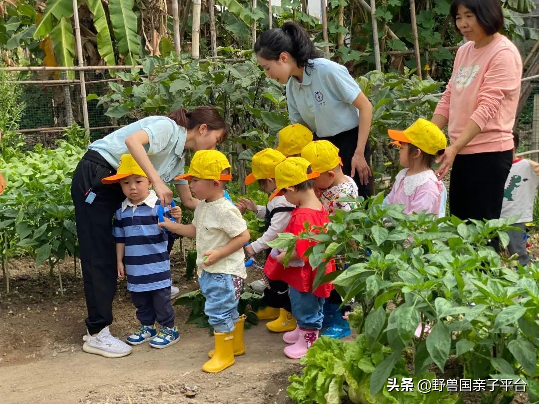 东莞早教班哪家早教中心比较好,早教机构哪家靠谱