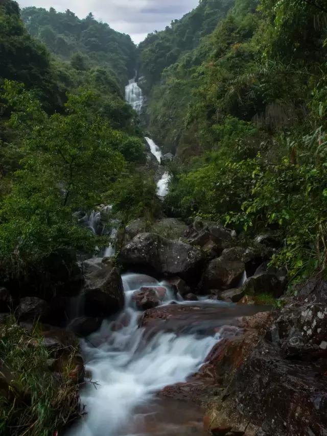山海闽西南|乐吃、乐游、乐开怀！带上这份攻略，玩转云霄白石村~