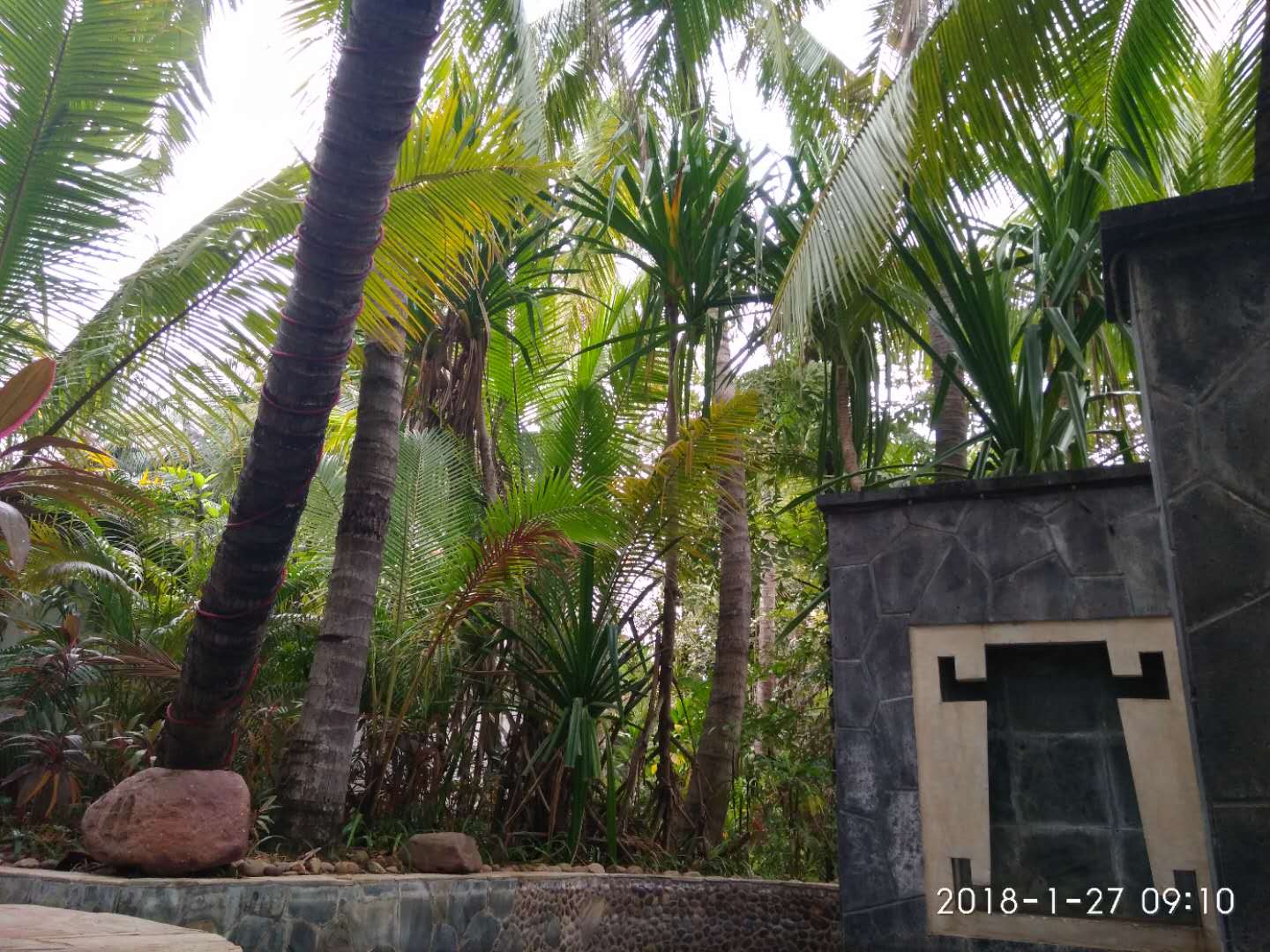 三亚之行视频,三亚之行录屏