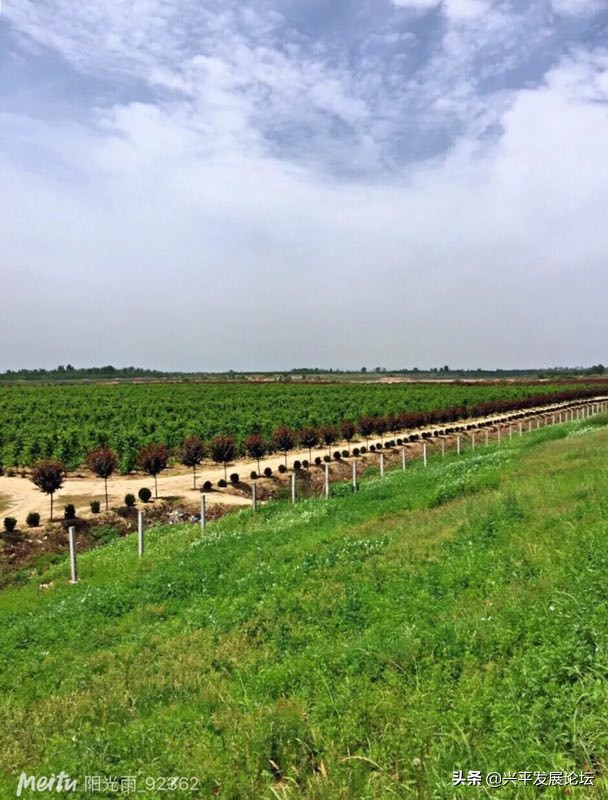 回忆过去珍惜现在展望未来,回忆过去珍惜现在的句子