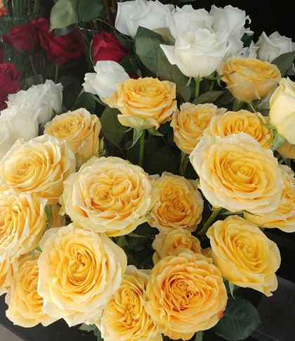 花艺培训中式插花东方式插花学习,普通人插花和花艺师插花