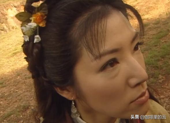 碧血剑爱恨只在一瞬间,碧血剑四句诗的秘密