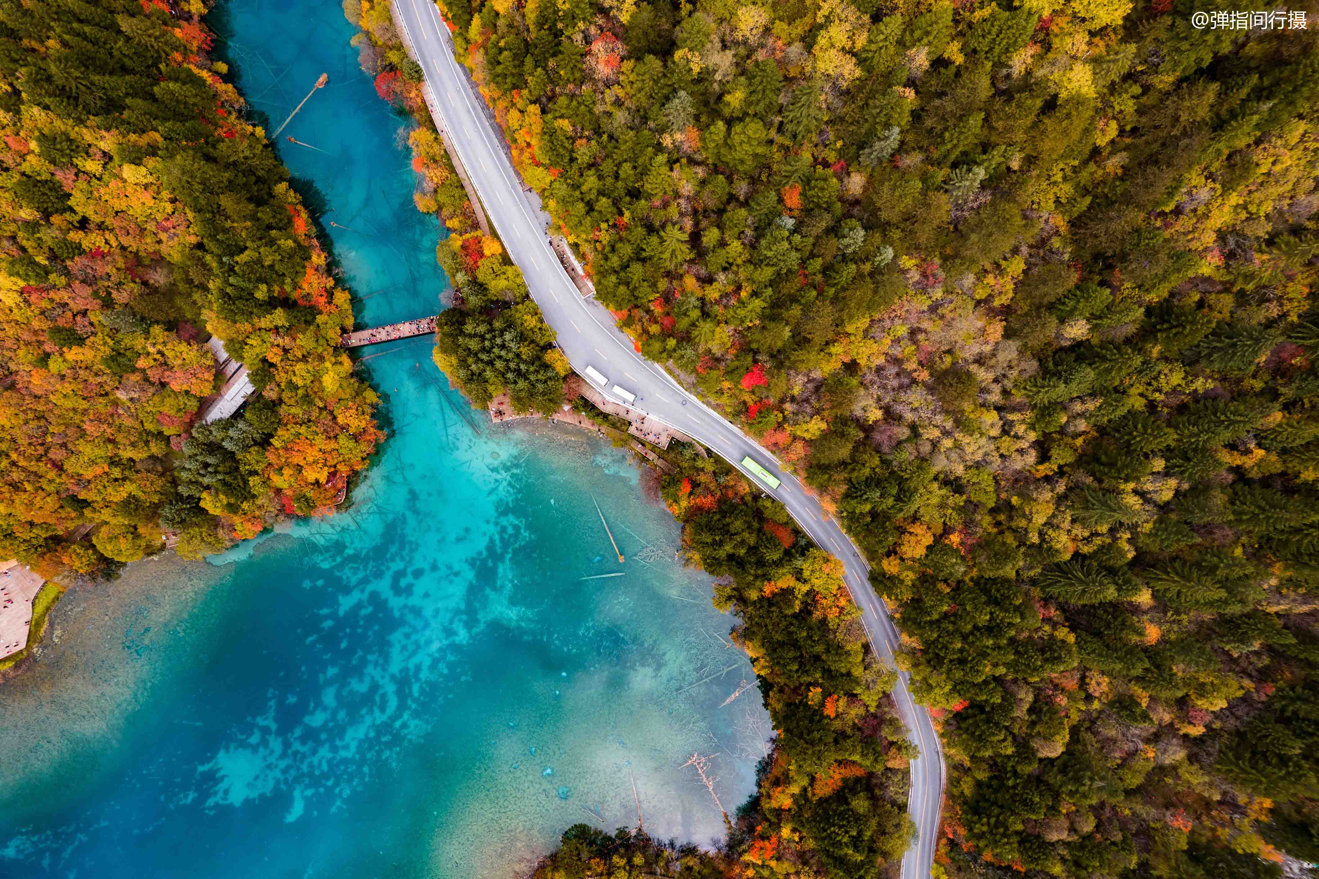 九寨沟最“仙”的景点:秋色宛如彩色梦境,堪称“九寨沟一绝”