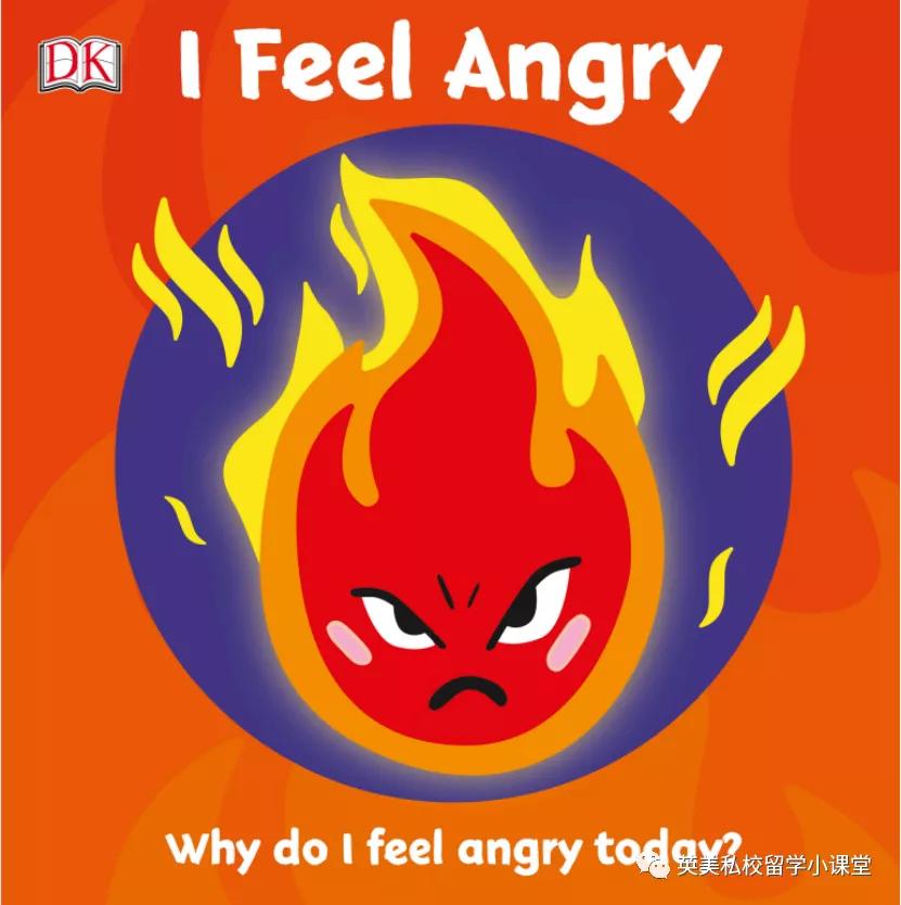 12岁推荐看的知识书,12岁儿童学dk书籍