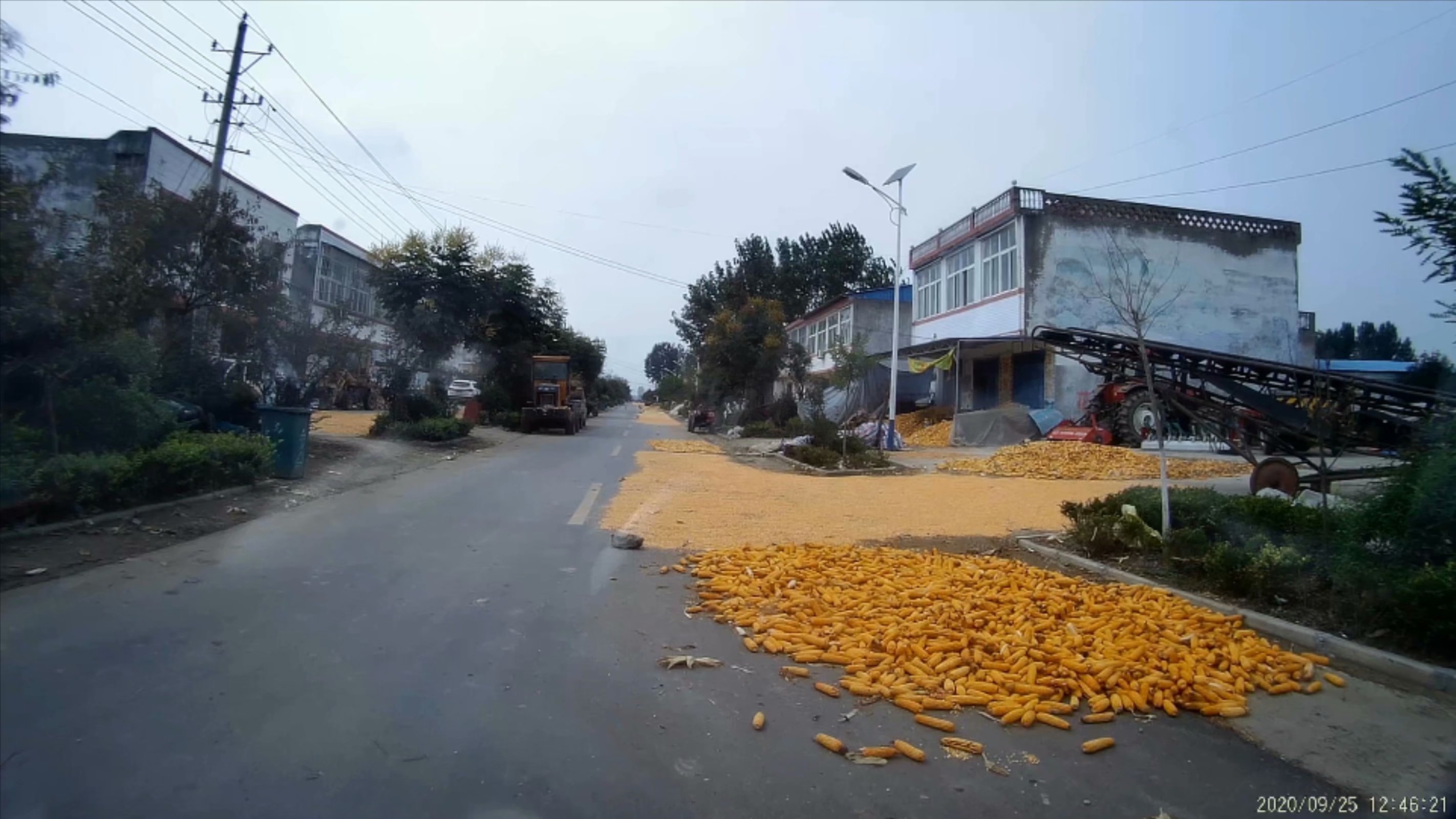 俞伯牙墓为什么在固镇,俞伯牙墓出土