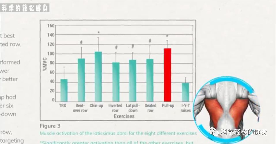 背部肌肉训练计划虐出完美的背肌,背部各个肌肉位置锻炼方法