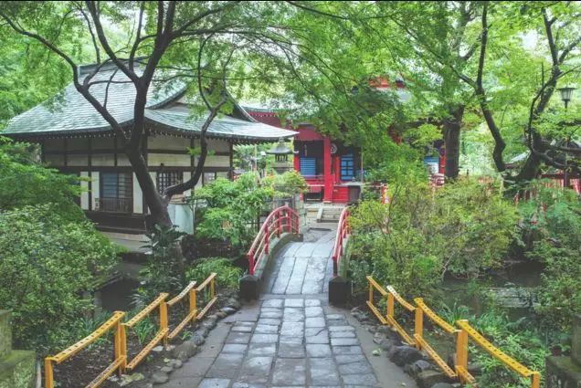 逛东京,去东京哪里旅游最适合居住