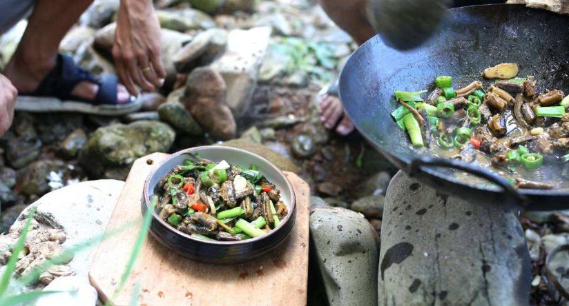 为什么小时候养的黄鳝找不到了,以前的黄鳝找到了吗