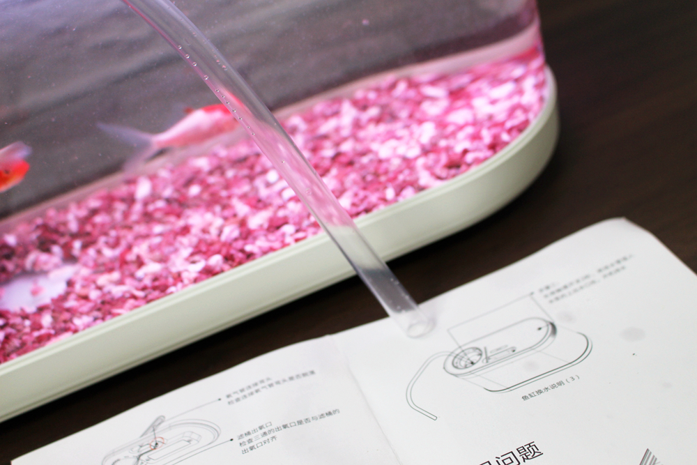 养鱼日记森森鱼缸,水族箱造景养鱼日记