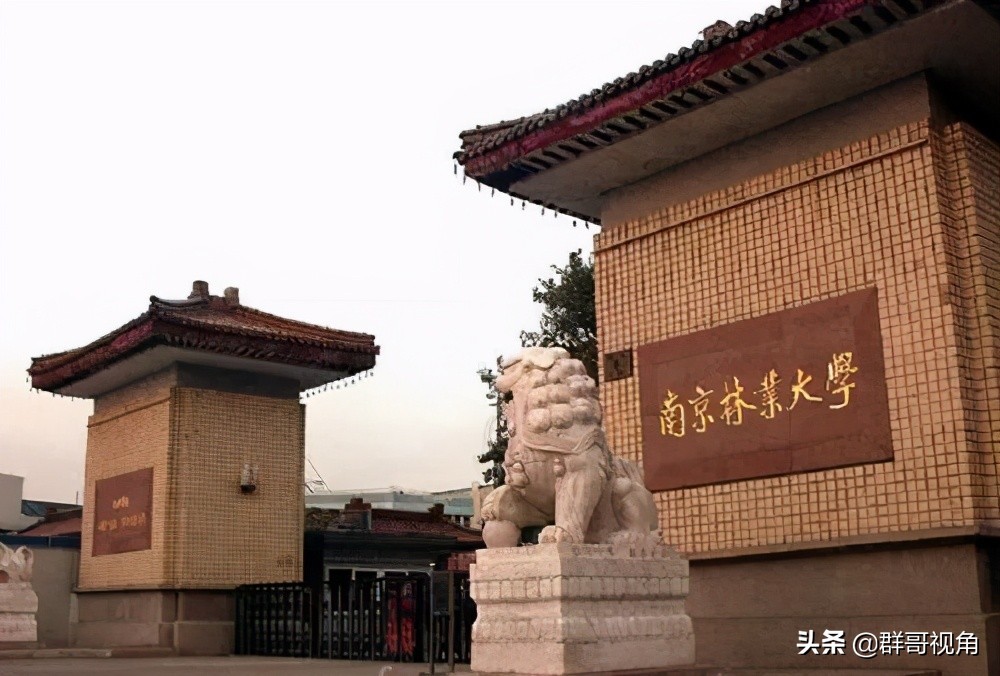 江苏师大有一级学科博士点吗,江苏师范大学有博士和硕士点吗