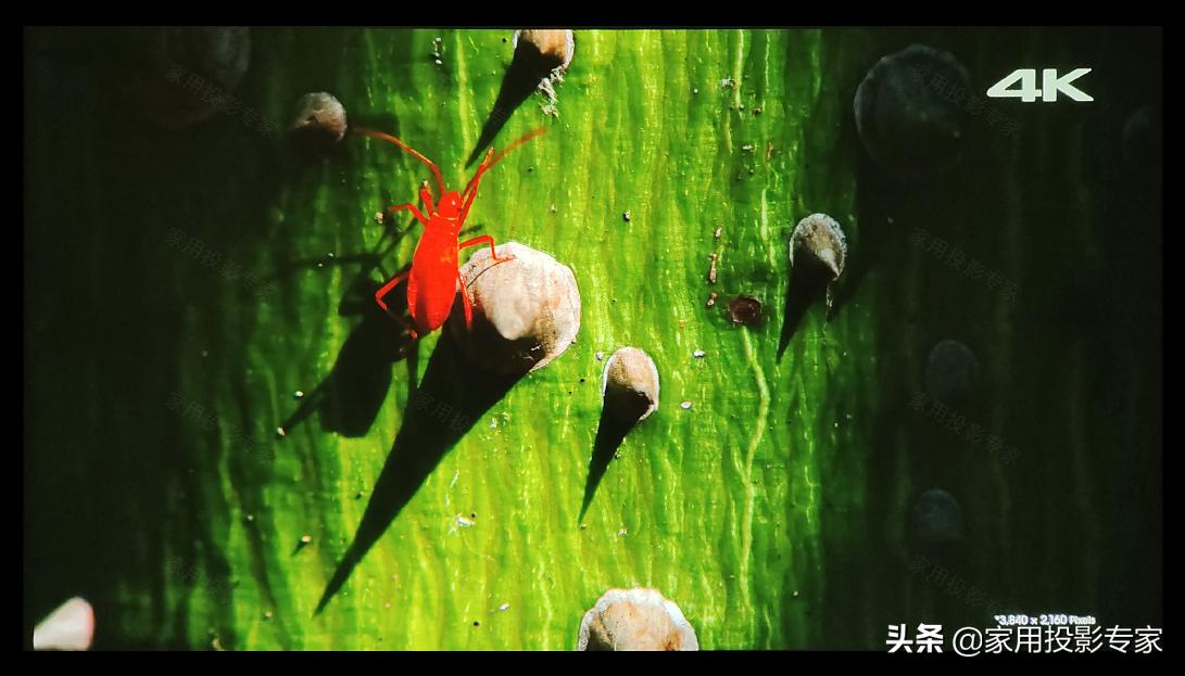 优派px748-4k投影仪家用投影机,优派px727投影测评