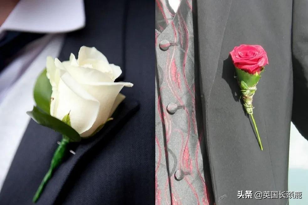 各国父亲节,各国父亲节庆祝方式