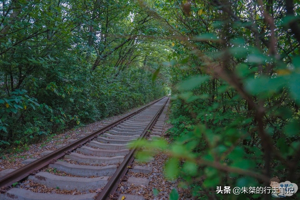 春节一日游景点推荐合肥市,合肥春节周边旅游推荐